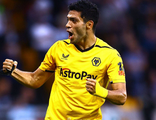 勞爾&middot;希門(mén)尼斯：獲PFA特別表彰，<a href='https://www.m.162175.com/news/tag/267.html' style='color: blue;'>英超</a>賽場(chǎng)的墨西哥傳奇