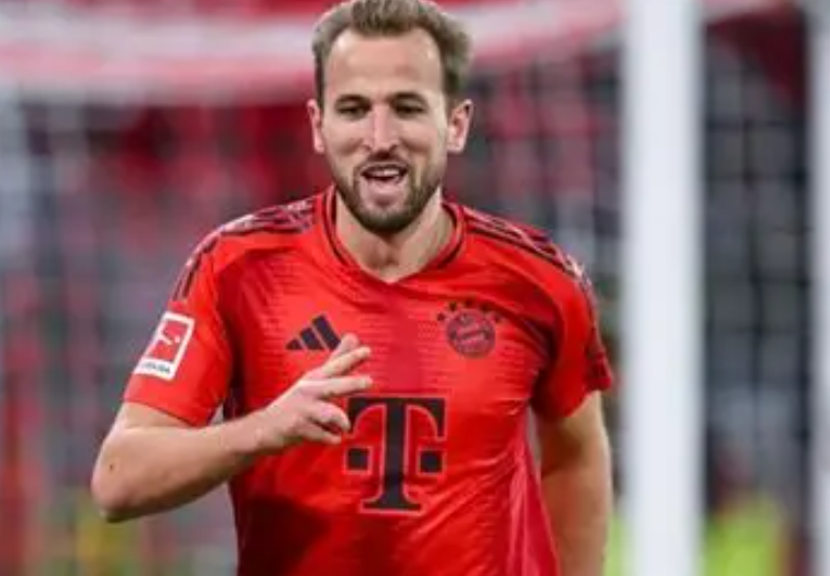 熱刺名宿瓦德爾談凱恩潛在轉(zhuǎn)會動向